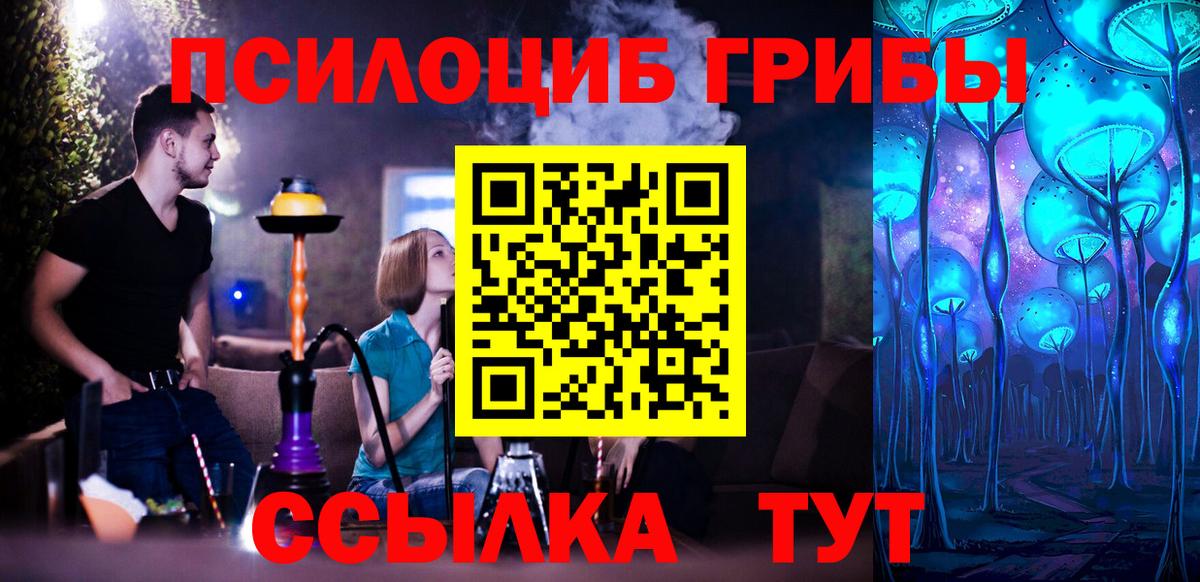 Псилоцибиновые грибы Psilocybe  Галлюциногенные грибы мухоморы  Зеленодольск  Вход с VPN 