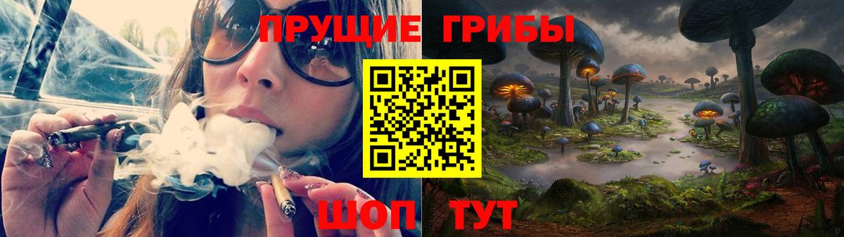 Галлюциногенные грибы Psilocybine cubensis Зеленодольск